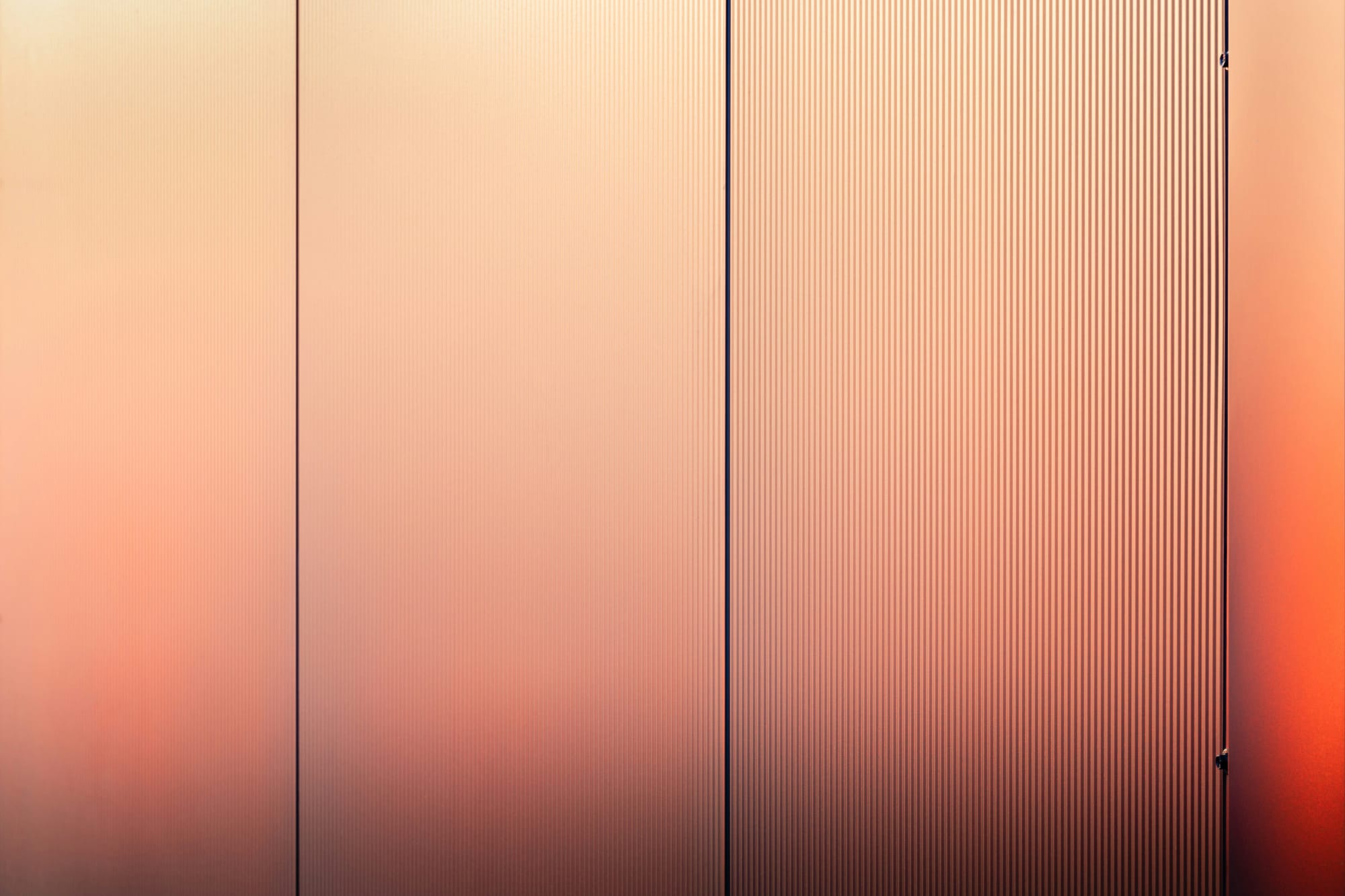 Alpha Tensor